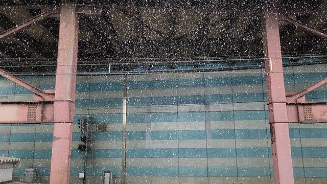 雪の中、映画を観るため横浜への記事動画