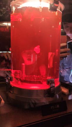 ｉＰＳ心臓展の記事動画