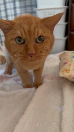 がんばれ！エアコンの記事動画