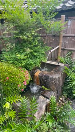 大垣城に行ってきました！の記事動画