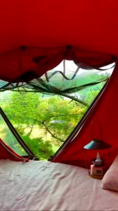 【奈良】秘境の十津川村にある「空中の村」フランス様式のツリーハウスや吊り橋の記事動画