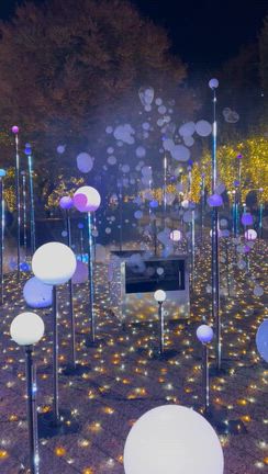 すしざんまい　六本木　＆イルミネーションの記事動画