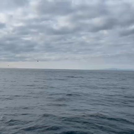 12月23日は沖五目でした～☺の記事動画