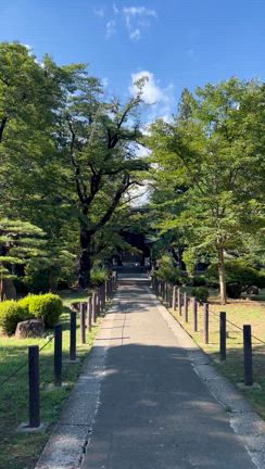 【50代からの登山⛰️】  8月1日(木) 山梨県乾徳山の記事動画