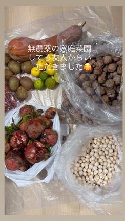 2025/10/31の記事動画