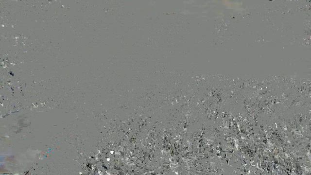 我が故郷高知県の記事動画