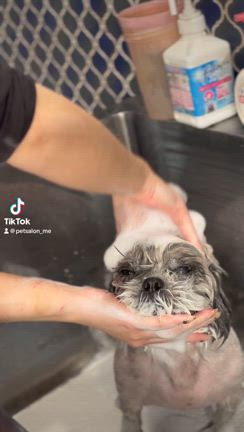 レオくんの動画の記事動画