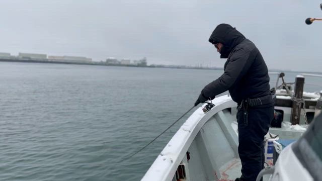 湾内サゴシの記事動画