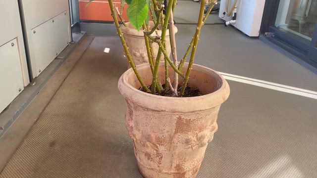 休みます！の記事動画