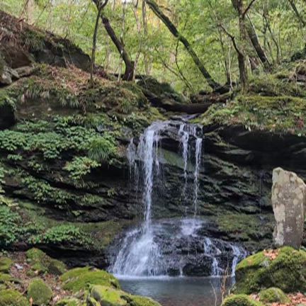 三峯神社表参道の記事動画