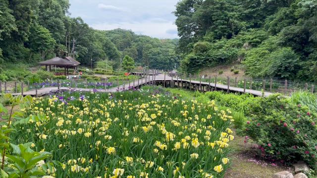 R7.5.28 〜　6.2月曜日営業　の記事動画