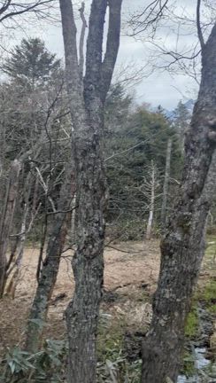 上高地でリフレッシュの記事動画