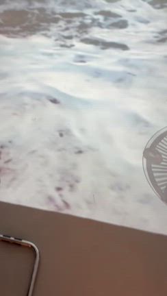 海の見えるカフェの記事動画