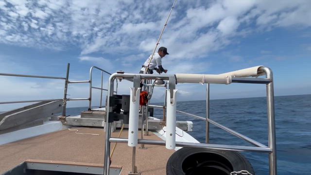 離島泳がせ（カンパチ37㎏・27㎏・20㎏・16㎏・10㎏）の記事動画