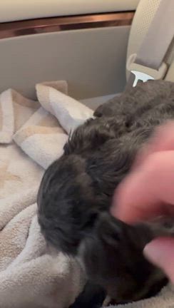 ありがとうございました^_^の記事動画