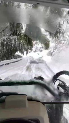 K野氏の積雪情報の記事動画