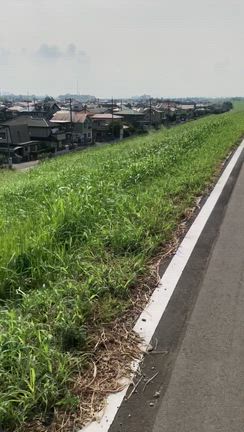 今週の荒サイ/荒川サイクリングロード左岸の彩湖ー笹目橋間の除草ほぼ完了！超走りやすい！！の記事動画
