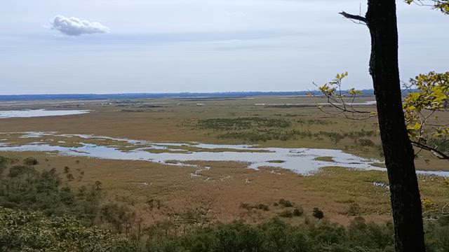 氾濫した川の記事動画