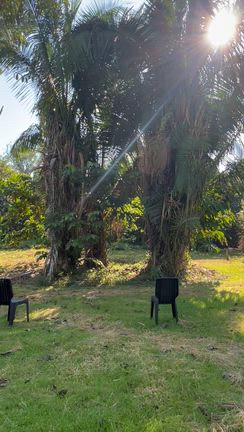 朝イチからの浄化の修行【ボミティーボ】の記事動画