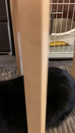 2024.10.20は  こんな1日の記事動画