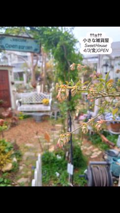 2026/03/31の記事動画