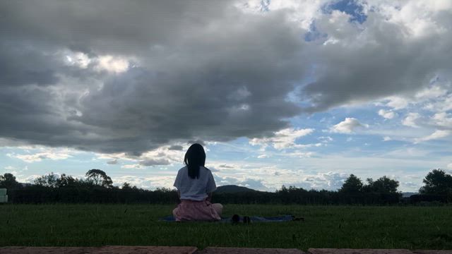 今日の記事動画