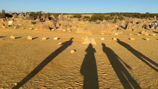 再びピナクルズのハエの記事動画