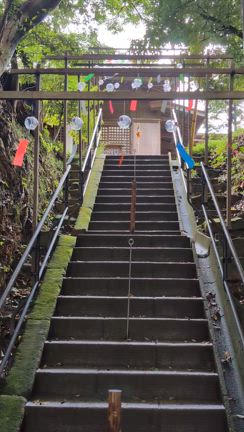 最近、このお方に吸い寄せられる。その方とは・・の記事動画