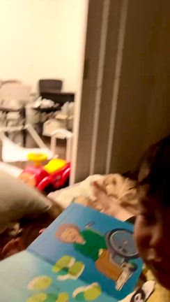 怖いページの記事動画