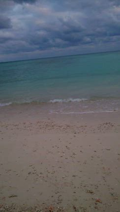 久米島で会いたい人と再会の記事動画