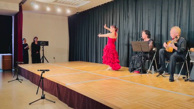 フラメンコソロコンサートが終わって【動画あり】の記事動画