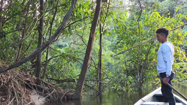 サスティナブルな、毎日の記事動画