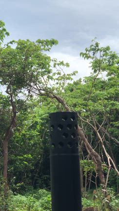 もっさこっささ。というお話しの記事動画