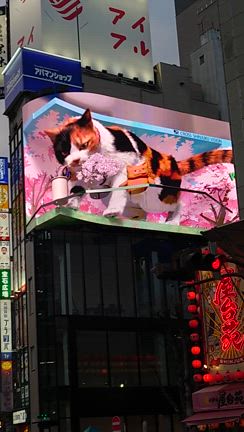 『ポスター届きました』＆『早稲田松竹とK's Cinema』の記事動画