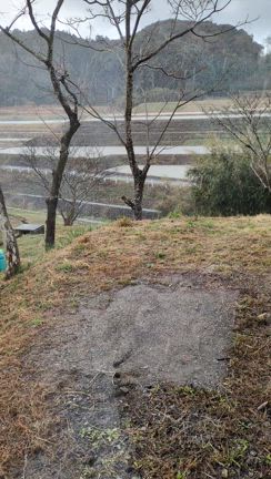 アラレの記事動画