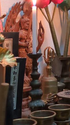 12月28日日曜日✨⭐️の記事動画