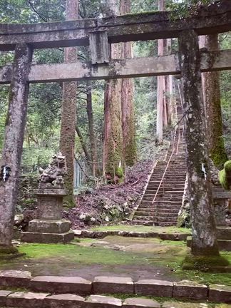 2025/10/21 瀧神社の記事動画