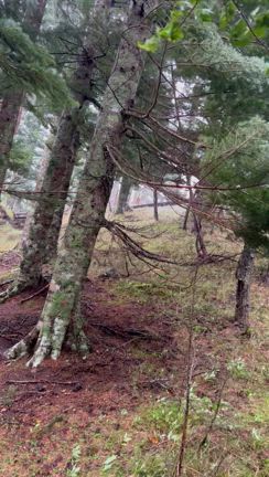 大荒れの富士山の記事動画