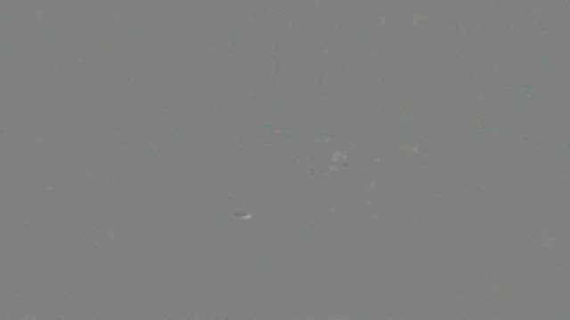 【さいたま市与野公園・初開催】COLORFUL AUTUMN FESTIVAL2024Vol1の記事動画