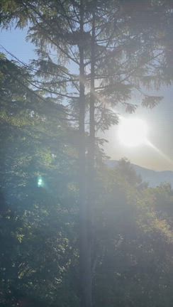 軽井沢別荘コンサートのお知らせ♪の記事動画