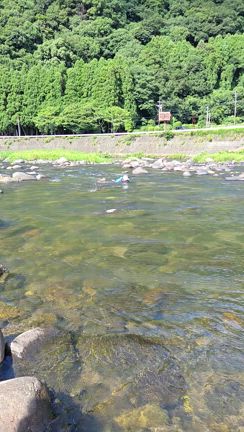 山国川のアユ釣り　④　まとめの記事動画