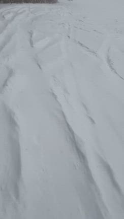 はじめてのオグナほたかスキー場の記事動画