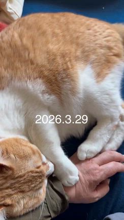 3月30日の星占いの記事動画