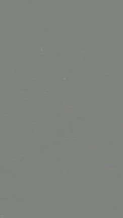 片貝煙火工業様の記事動画