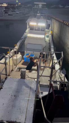 離島泳がせ（カンパチ37㎏・29㎏・他20㎏〜8㎏）の記事動画