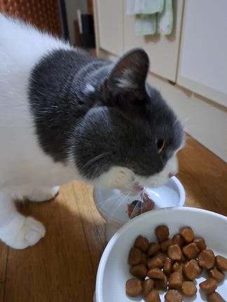 難波へ行ったついでに…の記事動画