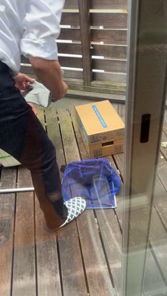 早朝の大事件！の記事動画