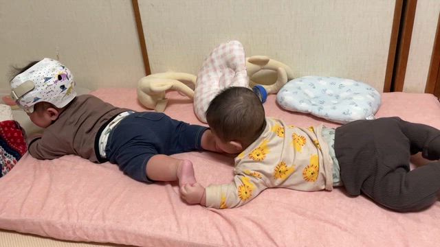 続　白内障の記事動画