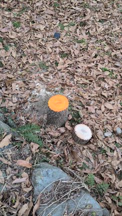 どちらの飯田さんからドライ!!の記事動画