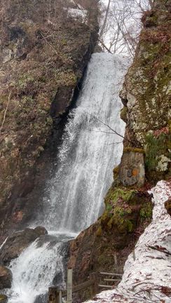 新作ayane&ディニテコリエの記事動画